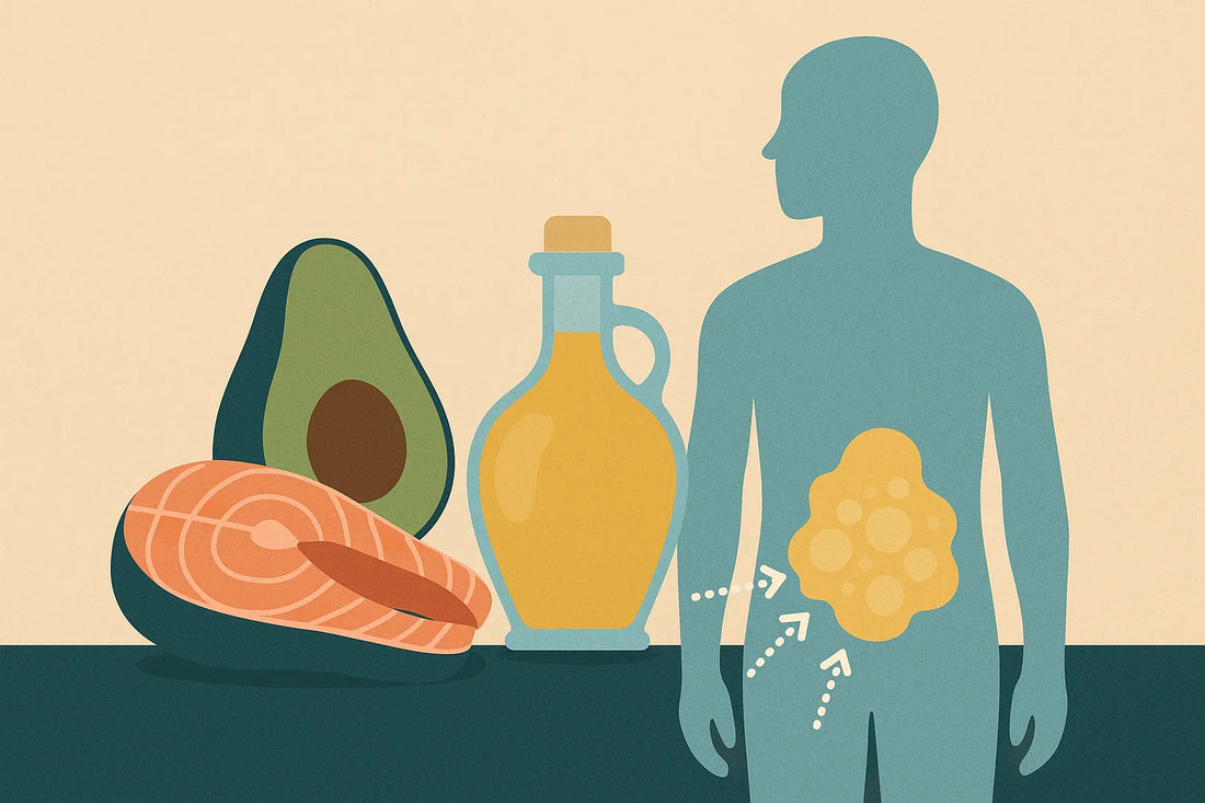 Wat is Ketose en Hoe Kan het Jou Helpen Vet te Verbranden? - OrganicoLabs
