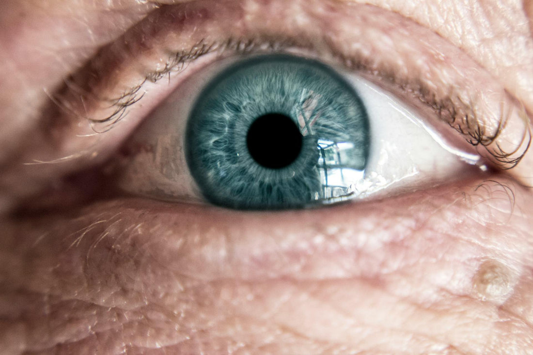 Hoe Omega-3, Luteïne en Zink je Ogen Beschermen Tegen Veroudering - OrganicoLabs