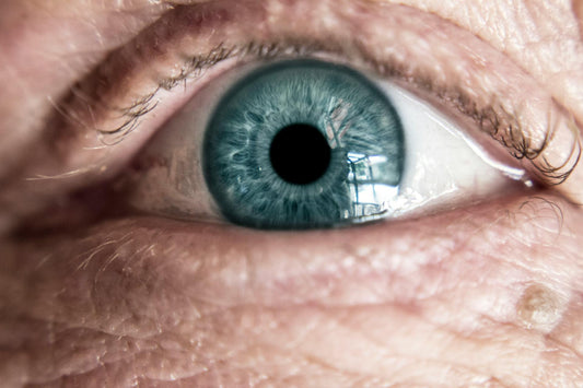 Hoe Omega-3, Luteïne en Zink je Ogen Beschermen Tegen Veroudering - OrganicoLabs
