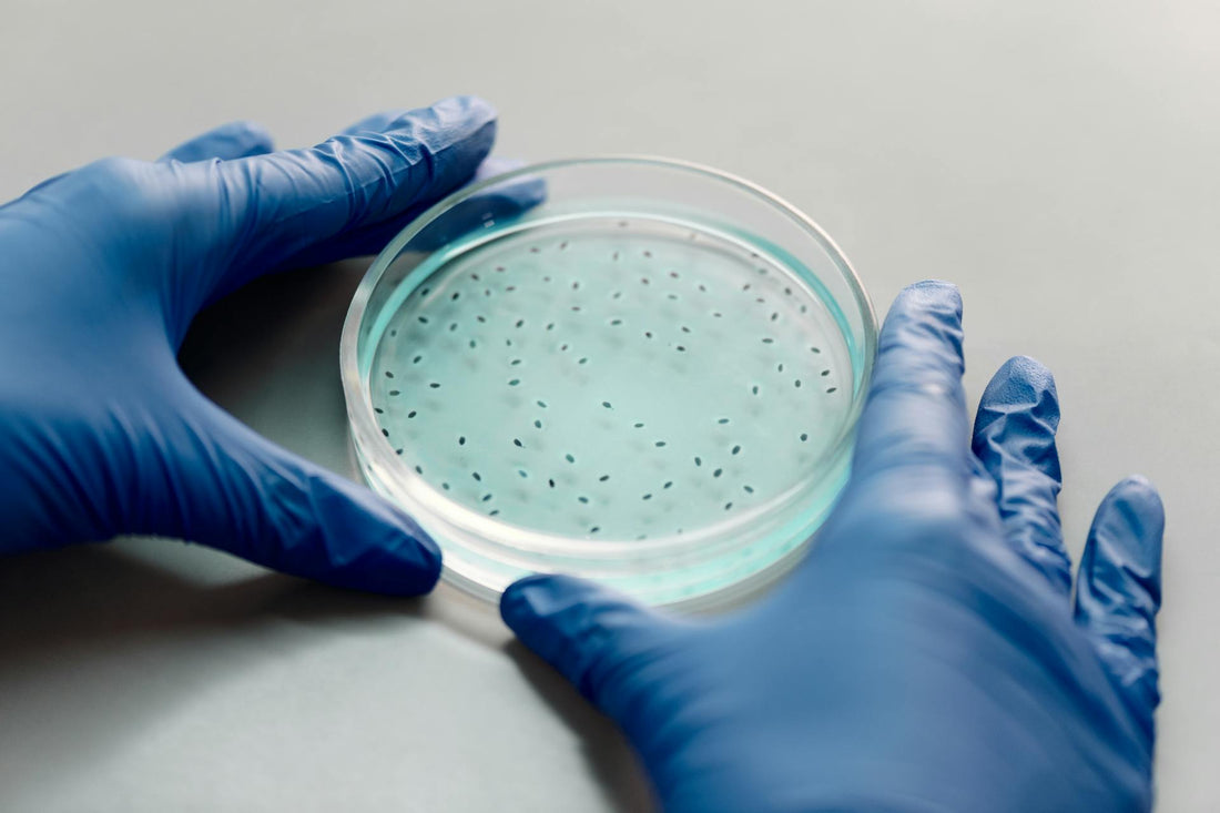 De Schokkende Waarheid over Darmgezondheid: Probiotica als Oplossing