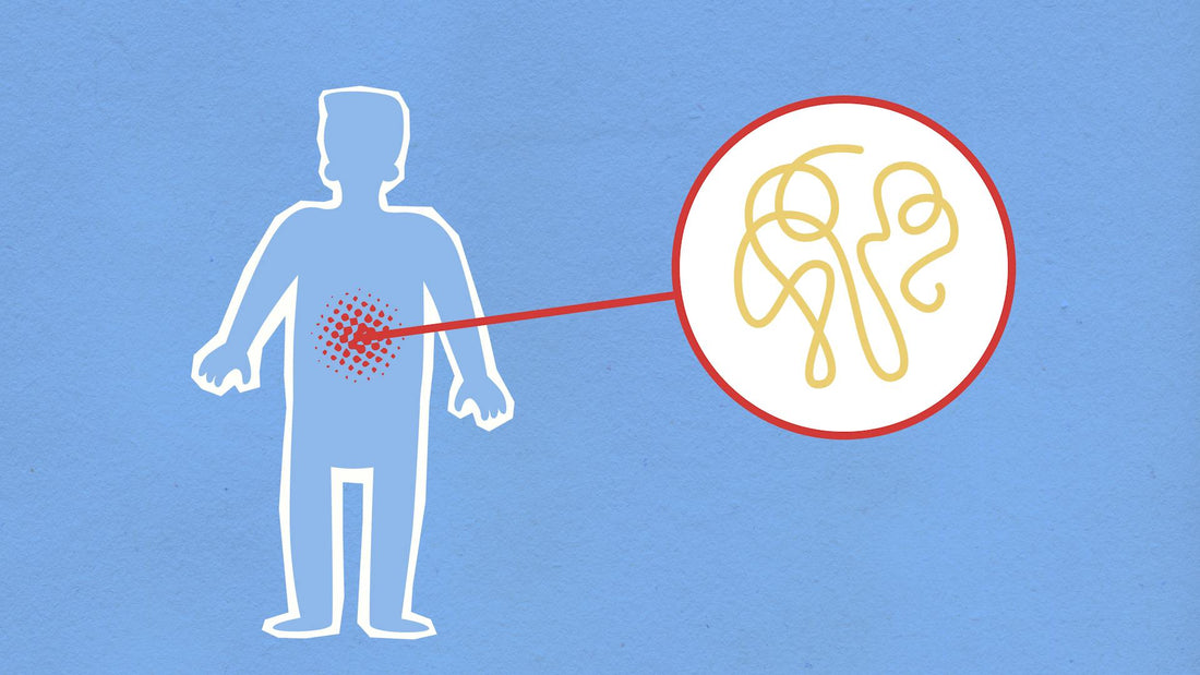 Probiotica: Het Geheime Wapen voor een Plattere Buik