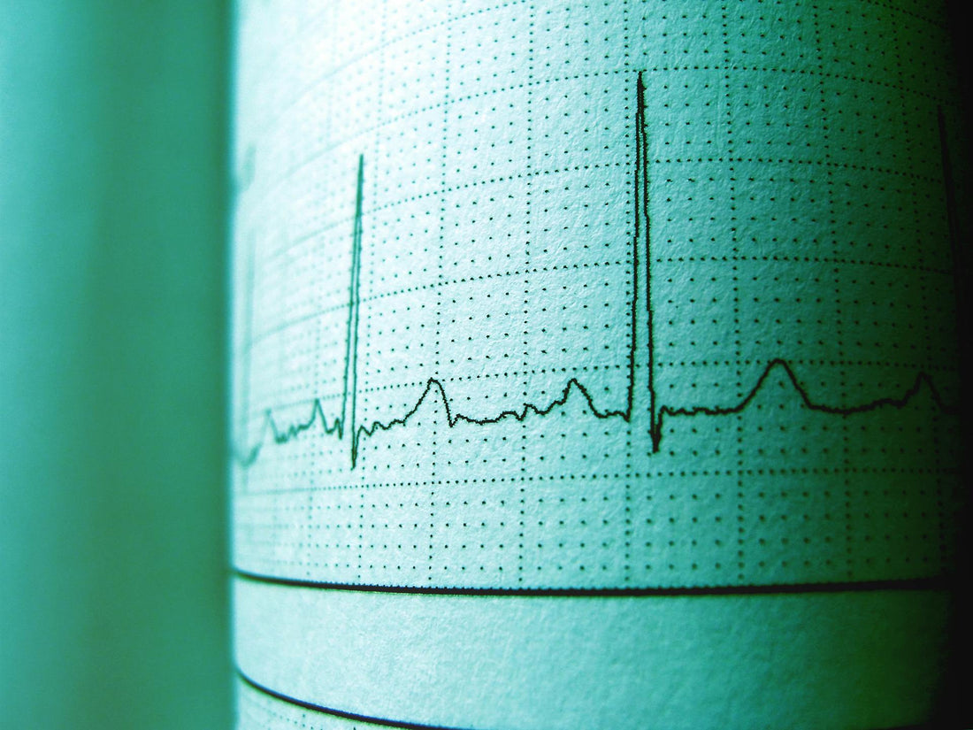 Angst voor hartproblemen? Wat je nog niet wist over omega-3 - OrganicoLabs