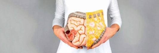 Vermoeid door toxines? Zo reinig je je lichaam elke dag - OrganicoLabs