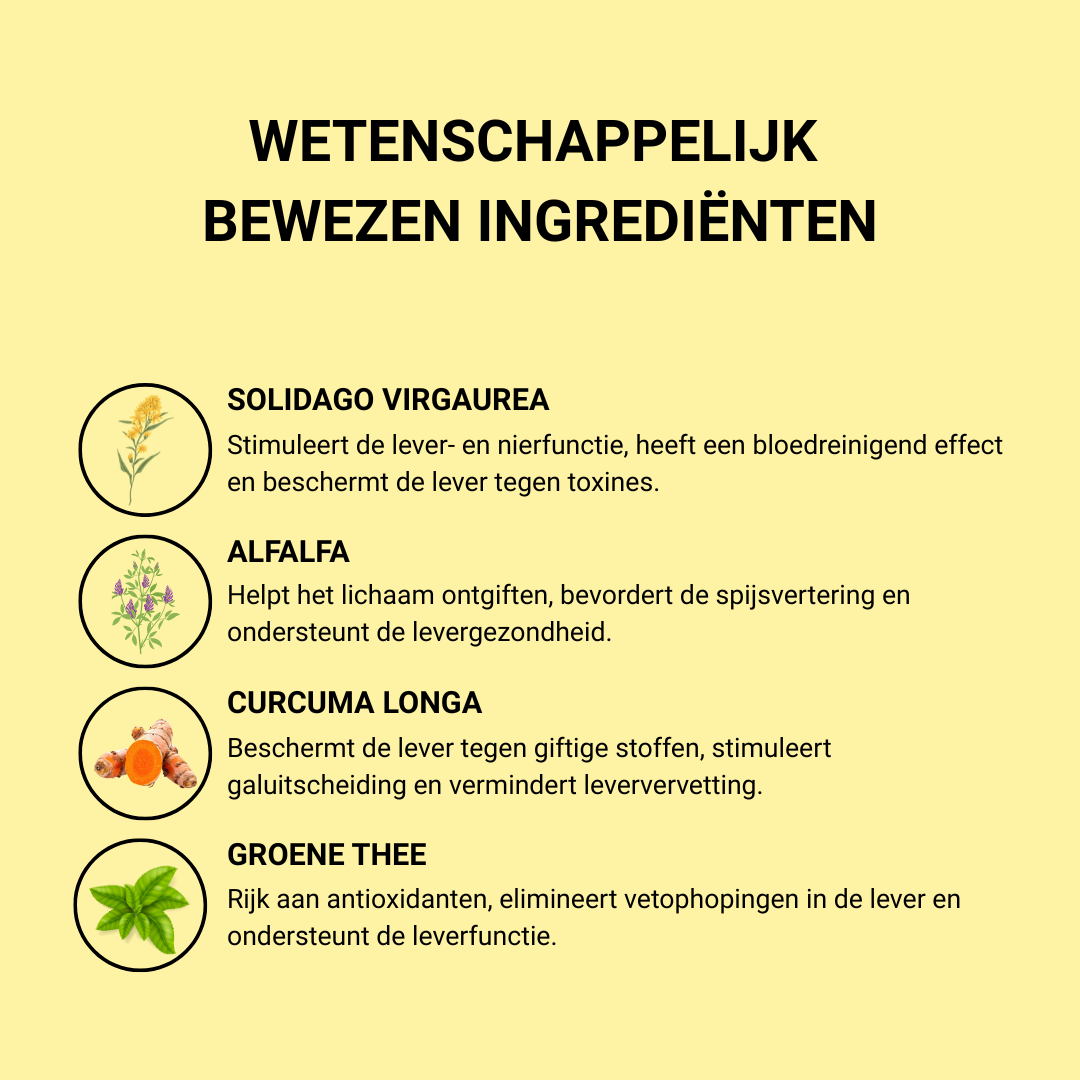ORGANICO TURBO DETOX