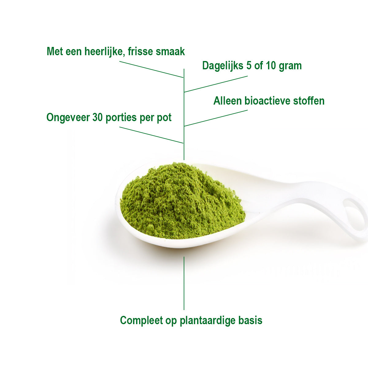 ORGANICO TURBO GREEN JUICE