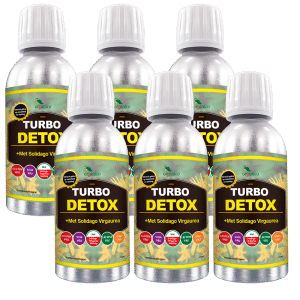 ORGANICO TURBO DETOX